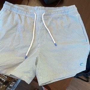 Southern tide swim trunks